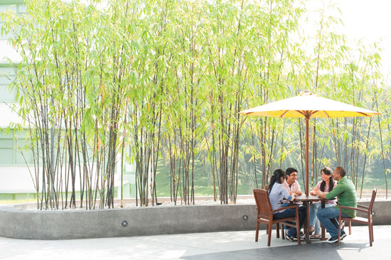 M-Cafe.jpg