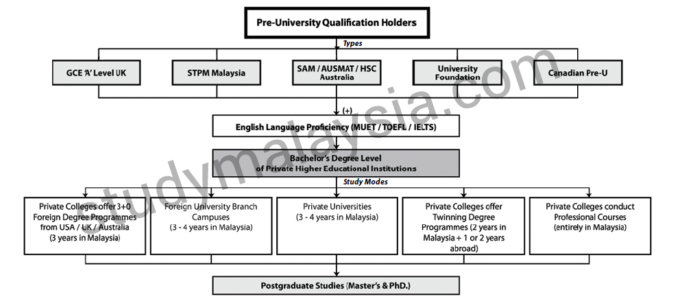 Types of programmes offered at private HEIs for students with pre-U qualifications
