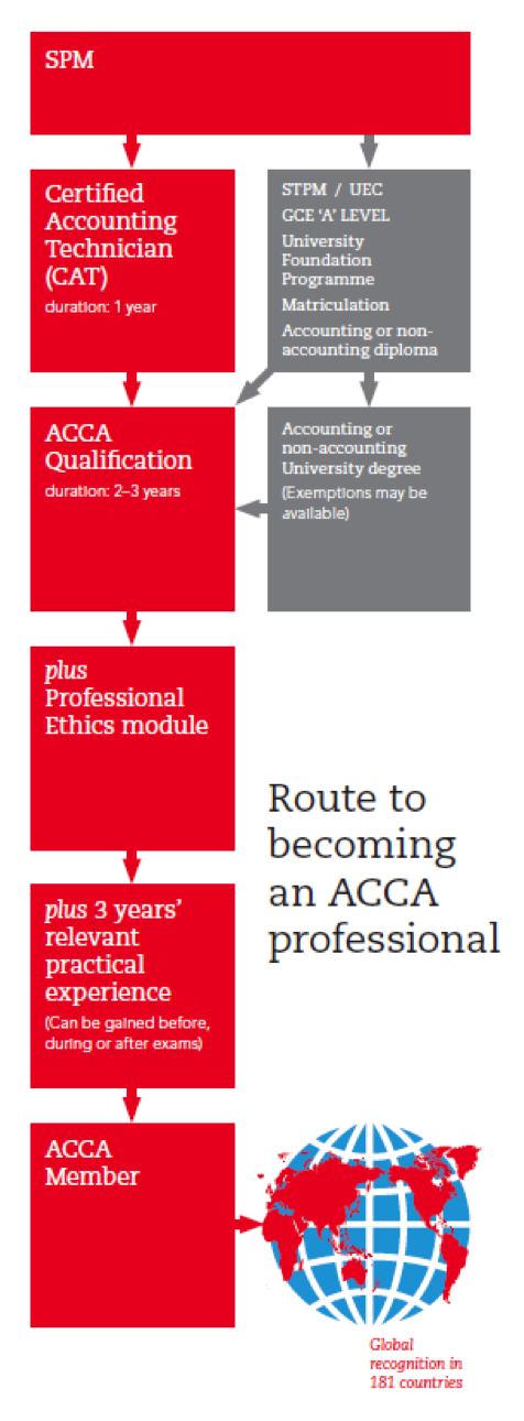 ACCA Professional Pathway
