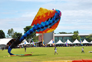 Inflatable kites of all sizes and shapes will be showcased at Mini Kite Festival during the Carnival.